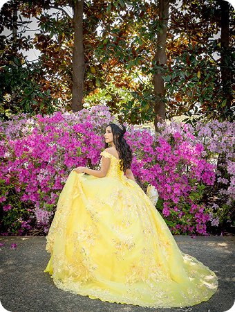 9ea24910-246e-446f-88a7-f479fc7496d0 1